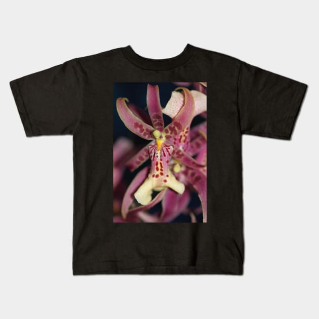 Splendid Orchid in Macro Kids T-Shirt by Carole-Anne